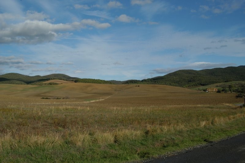 BIBBONA CAMPAGNA
